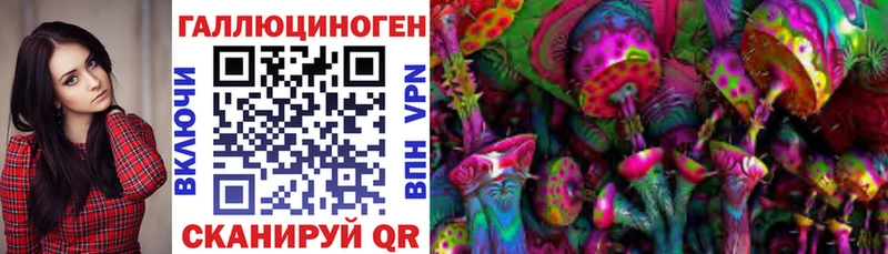 MEGA tor  Вуктыл  Галлюциногенные грибы мицелий 